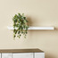 Chicago Wall Shelf-Voucher_HCOC_ALL_25022025-image-1