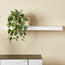 Chicago Wall Shelf-Voucher_HCOC_ALL_25022025-image-2