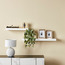 Chicago Wall Shelf-Voucher_HCOC_ALL_25022025-image-4