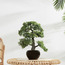 نبتة بونساي ديكور في إناء-household-gardenandoutdoor-artificialplants-bonsai-image-3