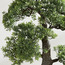 نبتة بونساي ديكور في إناء-household-gardenandoutdoor-artificialplants-bonsai-image-2