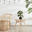 نبتة بونساي ديكور في إناء-household-gardenandoutdoor-artificialplants-bonsai-image-1