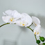 Real Touch Orchid Flower Stem-household-gardenandoutdoor-artificialflowersandplants-stems-image-2