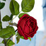 باقة ورد من ريل تتش - 89 سم-household-gardenandoutdoor-artificialflowersandplants-stems-image-2
