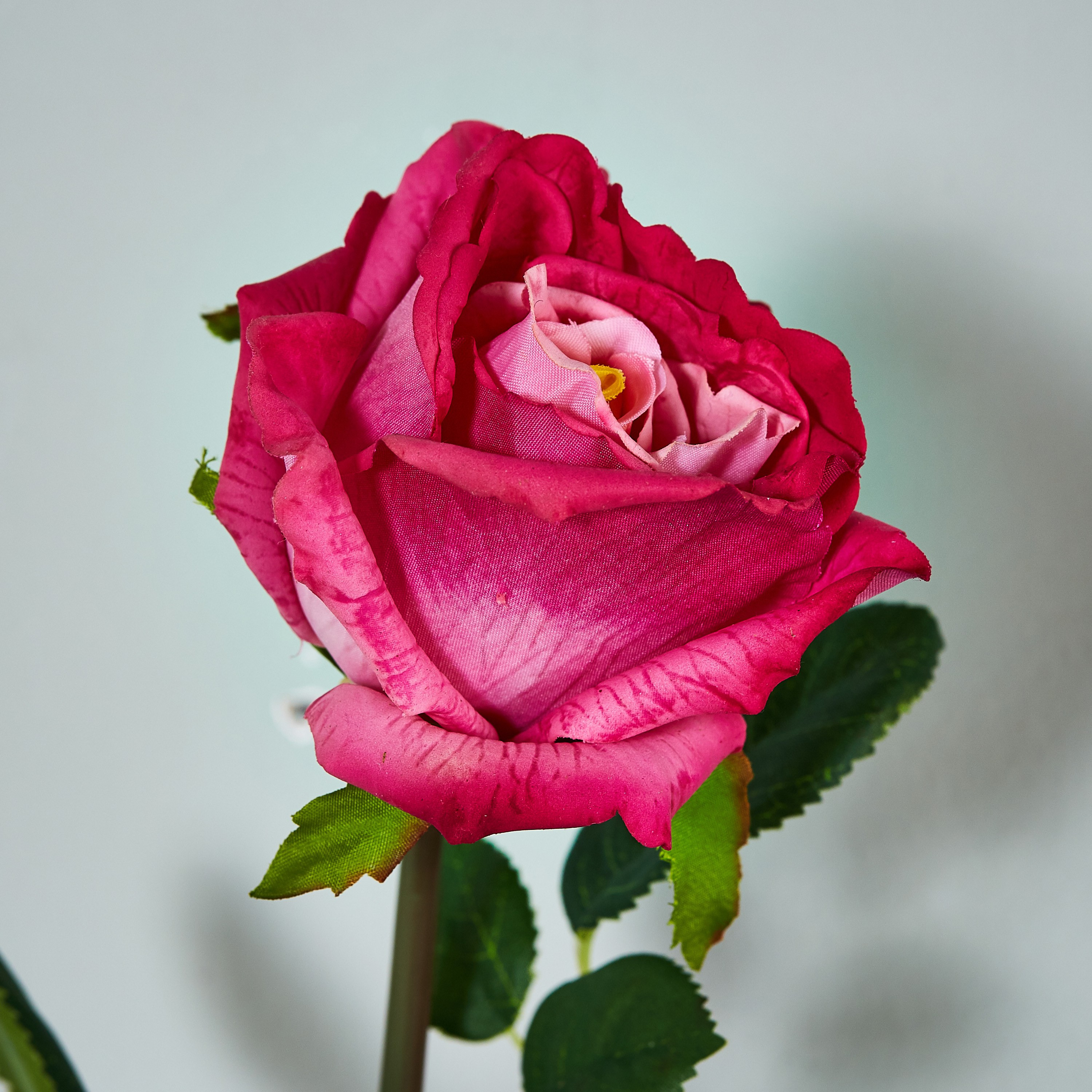 Real Touch Rose Stem - 71 cm-household-gardenandoutdoor-artificialflowersandplants-flowers-image-2