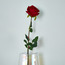 Real Touch Rose Stem - 71 cm-household-gardenandoutdoor-artificialflowersandplants-stems-image-1