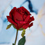 Real Touch Rose Stem - 71 cm-household-gardenandoutdoor-artificialflowersandplants-stems-image-2