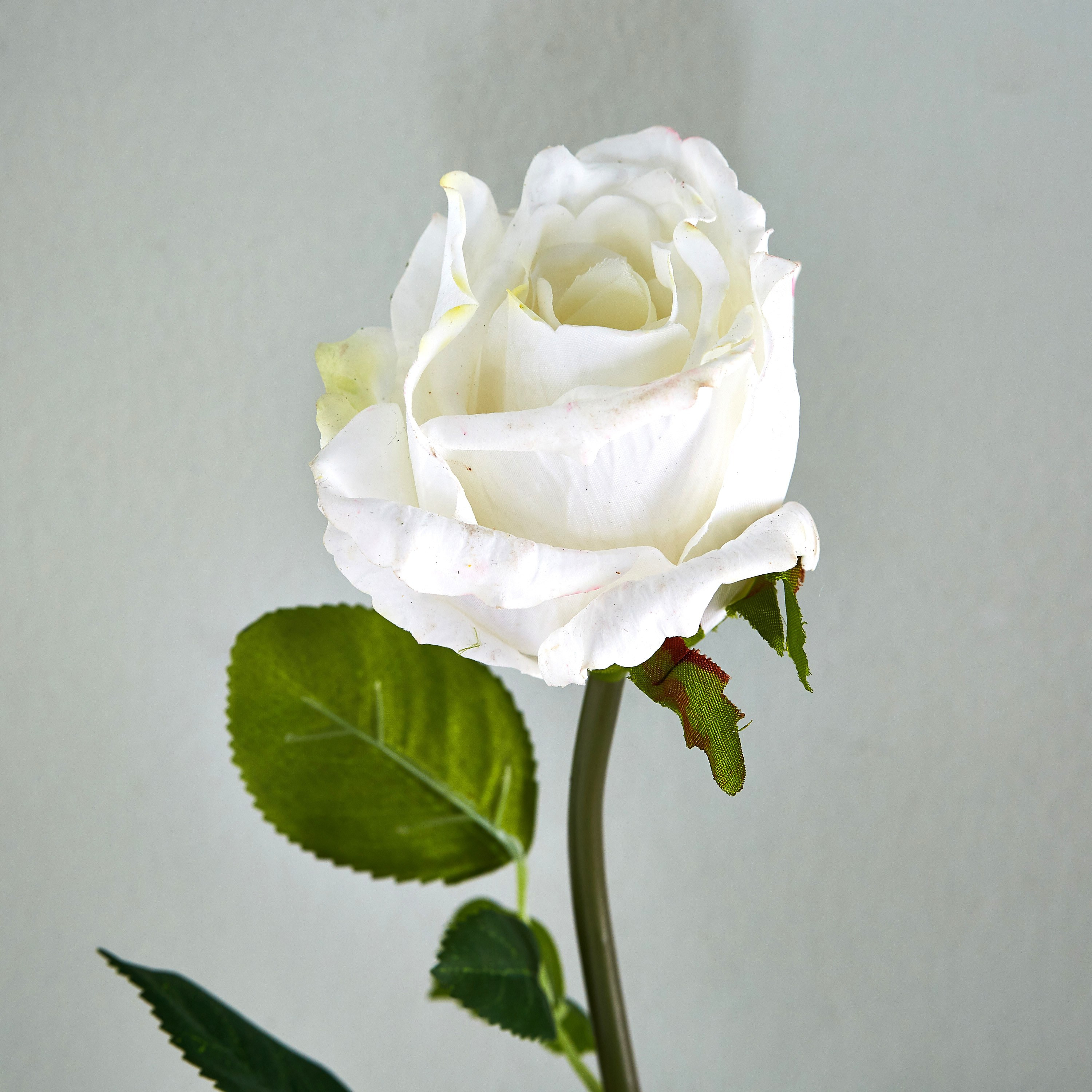 Real Touch Rose Stem - 71 cm-household-gardenandoutdoor-artificialflowersandplants-flowers-image-2