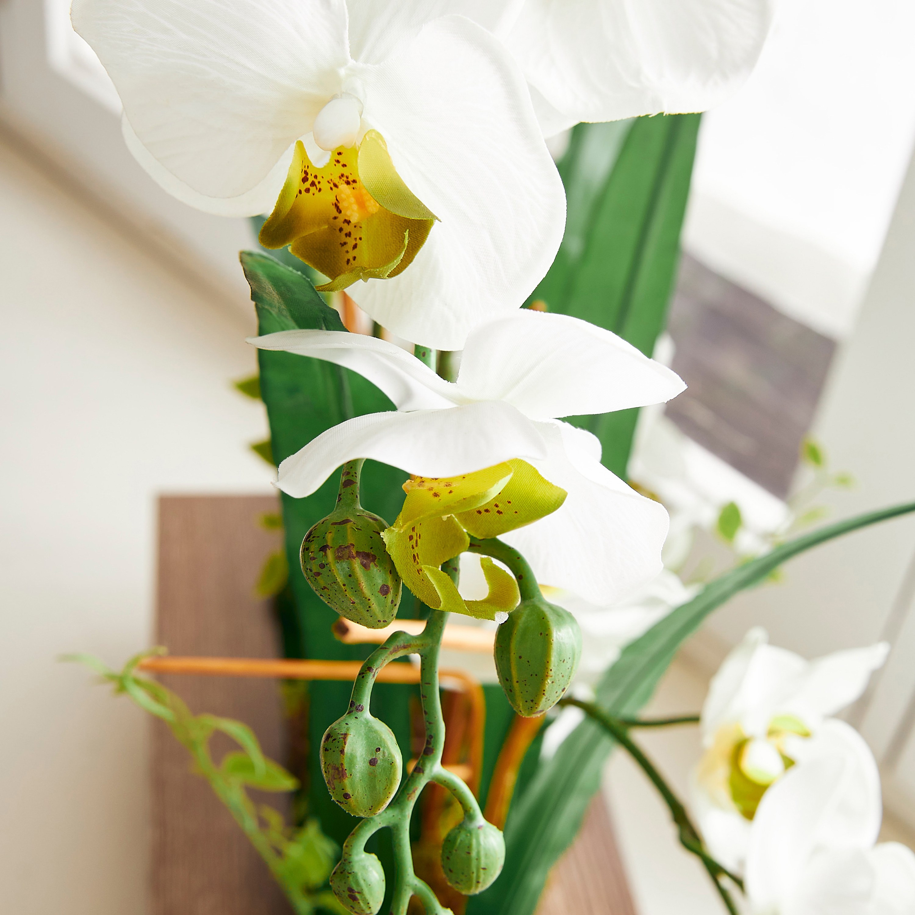 Orchid in Pot -household-gardenandoutdoor-artificialflowersandplants-flowers-image-2