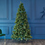 شجرة عيد الميلاد - إكسيتر- 8 أقدام-household-christmas-treesandornaments-tree-image-3