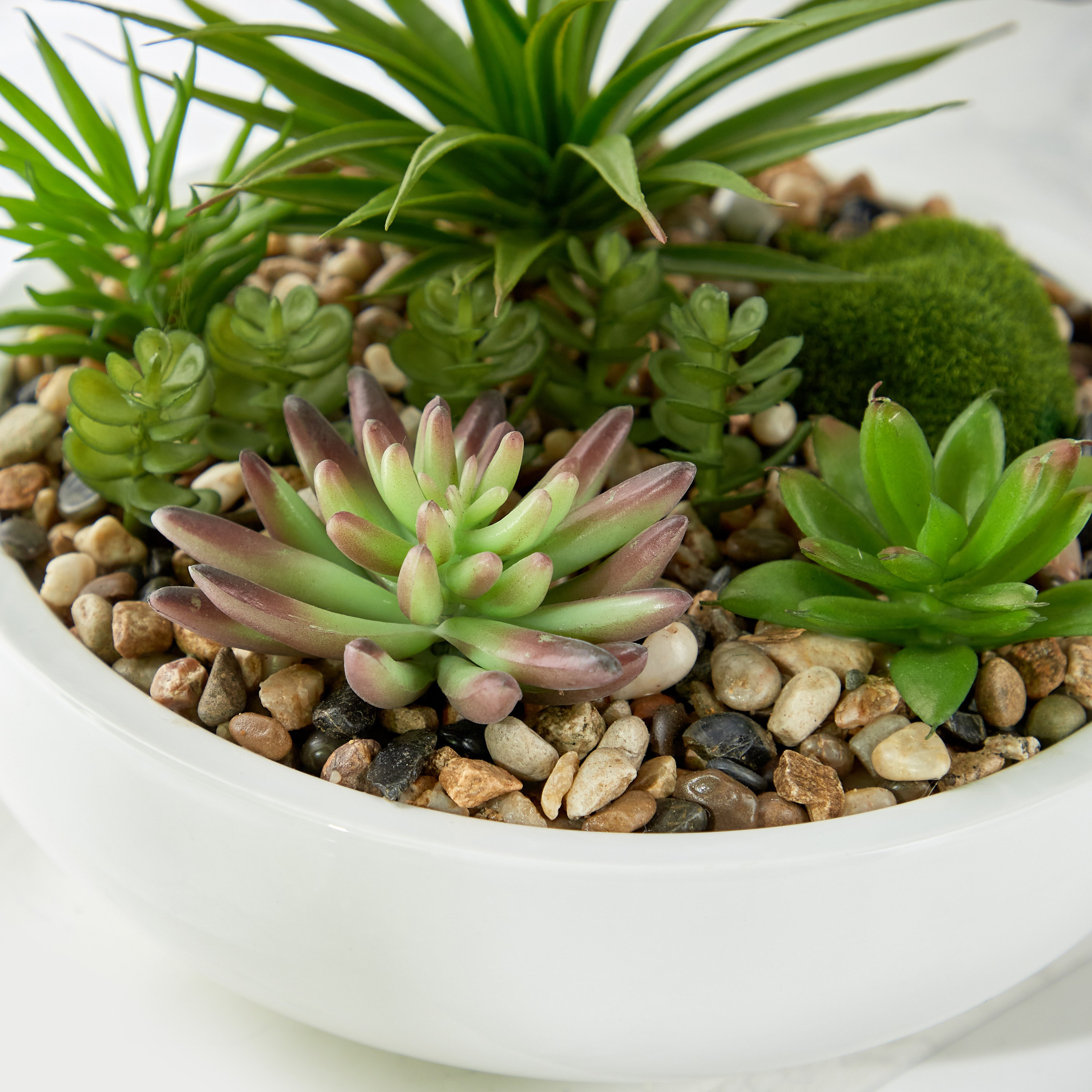 Mixed Succulents in Pot - 22 cm-household-gardenandoutdoor-artificialplants-succulents-image-2