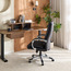 كرسي دراسة - كانوفا-furniture-office-officechairs-image-1