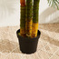 Real Touch Areca Palm Tree - 220 cm-household-gardenandoutdoor-trees-image-2