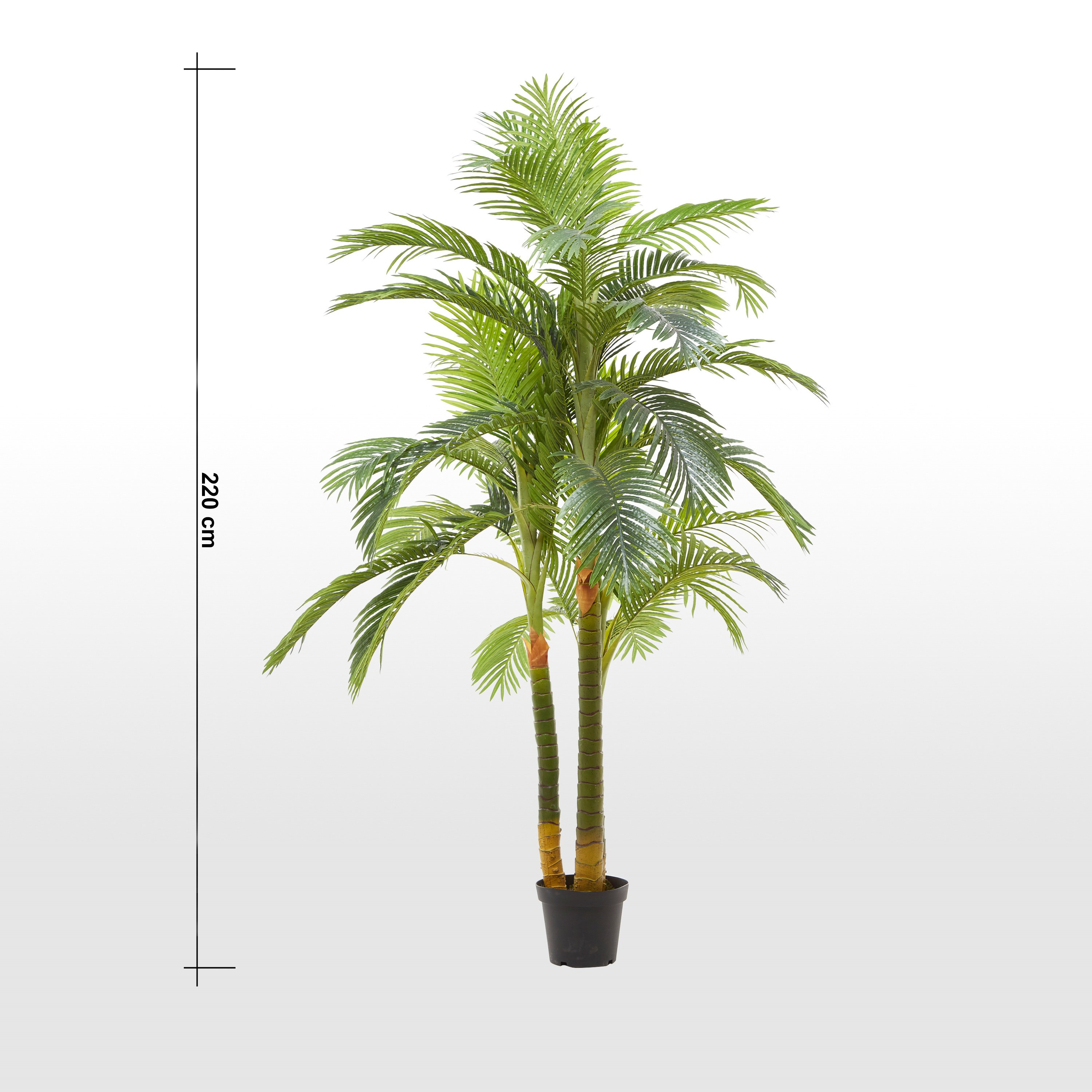 Real Touch Areca Palm Tree - 220 cm-household-gardenandoutdoor-trees-image-5