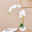 زهور أوركيد في إناء - 70 سم-household-gardenandoutdoor-artificialflowersandplants-flowers-image-4
