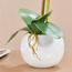 زهور أوركيد في إناء - 70 سم-household-gardenandoutdoor-artificialflowersandplants-flowers-image-3