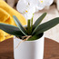 زهور أوركيد في إناء - 70 سم-household-gardenandoutdoor-artificialflowersandplants-flowers-image-2