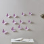 Sophie 3D Butterfly Wall Sticker - Set of 12-binpromo_ALLBANKS_OMN_14032025-image-1