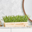 عشب في إناء خشب مستطيل-household-gardenandoutdoor-artificialplants-pottedplants-image-4