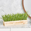 عشب في إناء خشب مستطيل-household-gardenandoutdoor-artificialplants-pottedplants-image-3