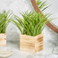 Grass Artificial Plant with Vase-furniture-storage-bedroomstorage-storagesafes-image-2
