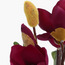 Yulan Magnolia in Glass Pot - 31 cm-household-gardenandoutdoor-artificialflowersandplants-flowers-image-6