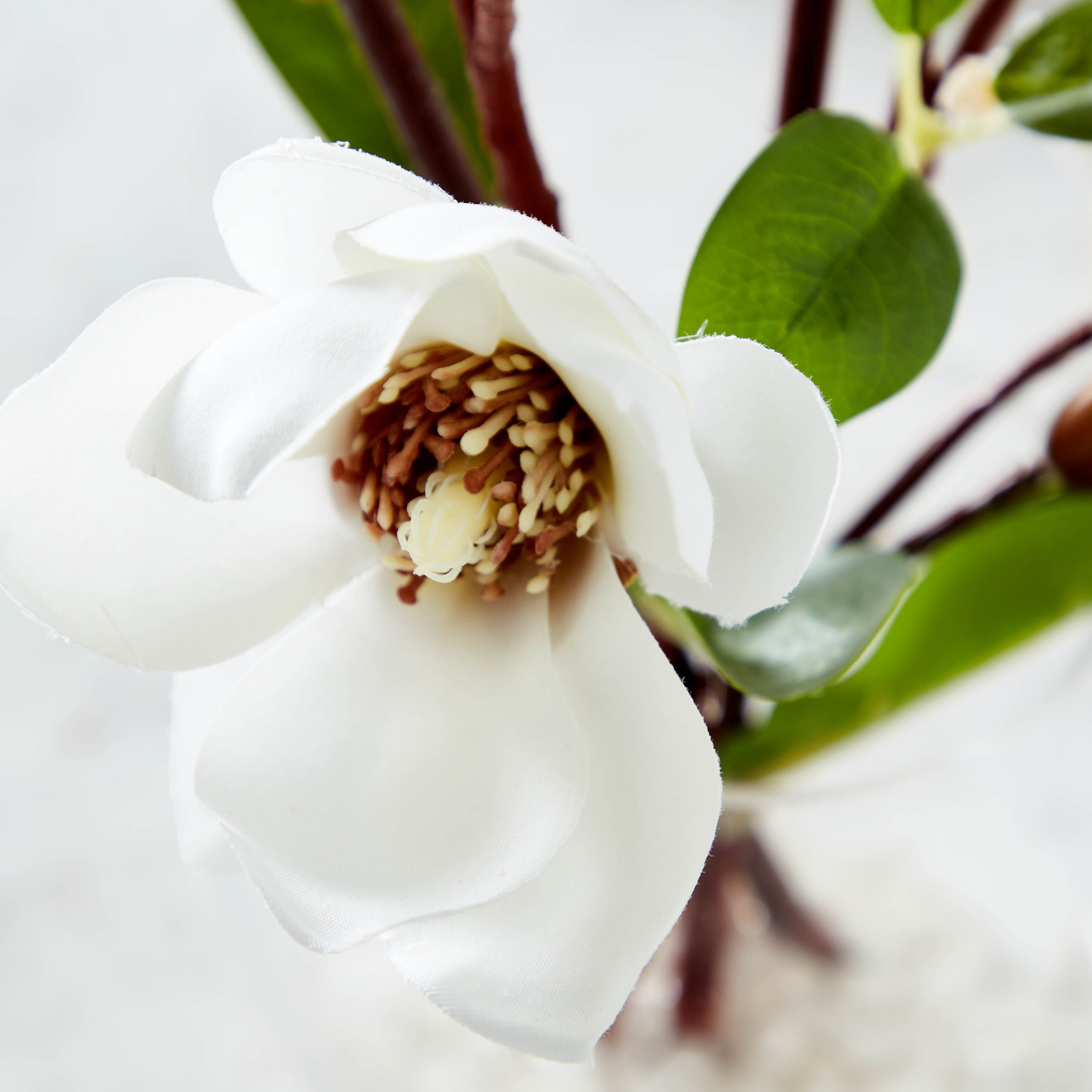 Yulan Magnolia in Glass Pot - 31 cm-household-gardenandoutdoor-artificialflowersandplants-flowers-image-4