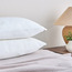 وسادة واحدة من الميموري فوم الصلب - هيلث جارد - 45x70 سم-household-bedding-pillows-image-1
