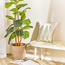 Leaf Cushion Cover - 45x45 cm-household-cushionsandthrows-cushioncovers-image-5