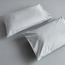 طقم غطاء وسادة قياسي من قطعتين عدد خيوط 200 قطن بركال - سيرينيتي - 50x75 سم-household-bedding-sheetsandpillowcases-pillowcases-image-3