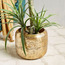 Gongga Planter - 28 cm-household-gardenandoutdoor-potsandplanters-planters-image-1