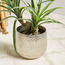 Kangri Aluminium Metallic Planter-household-gardenandoutdoor-potsandplanters-planters-image-1