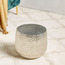Kangri Aluminium Metallic Planter-household-gardenandoutdoor-potsandplanters-planters-image-2