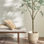 إناء زرع سيراميك مع صحن - كورال غابلز-household-gardenandoutdoor-potsandplanters-planters-image-1