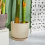 Coral Gables Ceramic Planter with Saucer-binpromo_KSA_Alrajhi_17062026-image-1