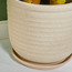 Coral Gables Ceramic Planter with Saucer-binpromo_KSA_Alrajhi_17062026-image-2