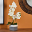 White Orchid Artificial Plant in Ceramic Pot - 63.5 cms-household-gardenandoutdoor-artificialflowersandplants-flowers-image-1