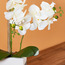White Orchid Artificial Plant in Ceramic Pot - 63.5 cms-household-gardenandoutdoor-artificialflowersandplants-flowers-image-3