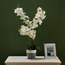 Orchid Flower on Ceramic Pot - 74 cms-household-gardenandoutdoor-artificialflowersandplants-flowers-image-1
