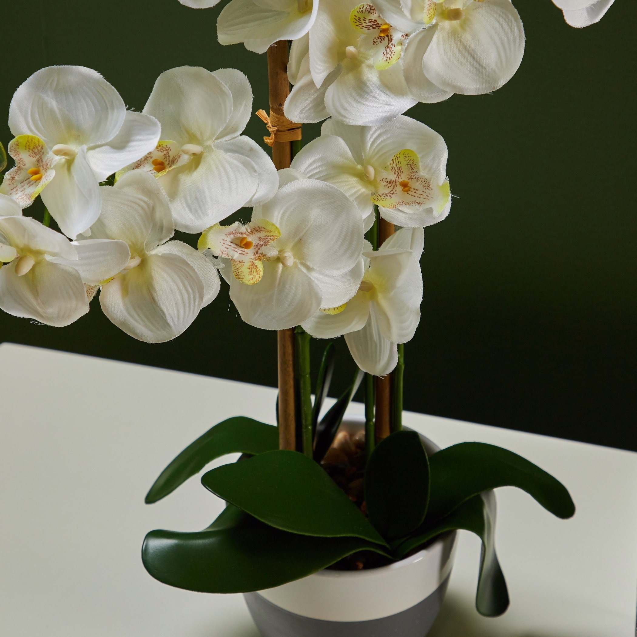 Orchid Flower on Ceramic Pot - 74 cms-household-gardenandoutdoor-artificialflowersandplants-flowers-image-3