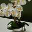 Orchid Flower on Ceramic Pot - 74 cms-household-gardenandoutdoor-artificialflowersandplants-flowers-image-3