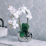 Mystic Orchid in Ceramic Pot - 52 cm-household-gardenandoutdoor-artificialflowersandplants-flowers-image-1