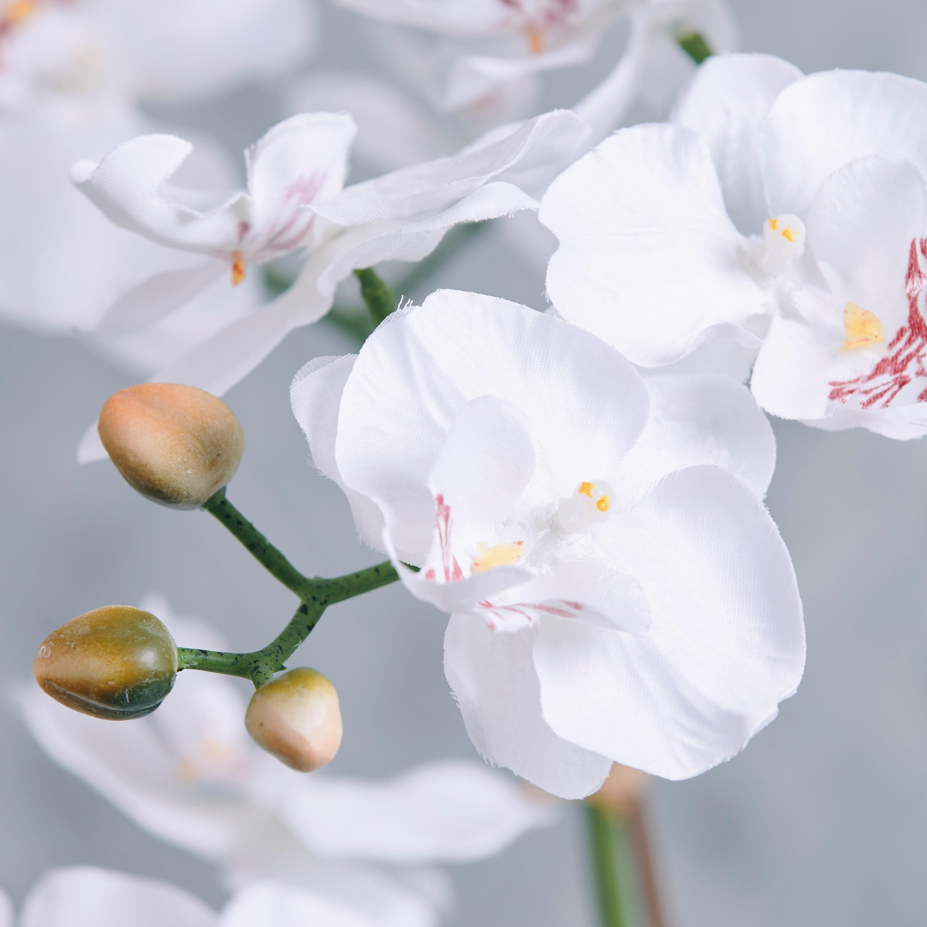 Mystic Orchid in Ceramic Pot - 52 cm-household-gardenandoutdoor-artificialflowersandplants-flowers-image-2