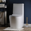 Brandon Toilet Brush Holder with Brush-binpromo_ALLBANKS_OMN_14032025-image-3