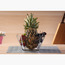 وعاء زجاجي - لاف-household-dining-dinnerware-bowls-image-1