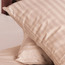 طقم غطاء لحاف كامل 250 خيط 3 قطع - ساتن - 180x240 سم-kids-beddingandwindows-bedding-duvetcovers-image-4