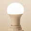لمبة إل إي دي بلونين E 27 ضوء أبيض بارد ودافئ - 8 وات - فيليبس-staff_HC_OM_discountpromo_20042020-image-2