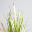 Cat Tail Bush Artificial Plant in Pot - 84 cm-household-gardenandoutdoor-artificialplants-pottedplants-image-2