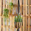 إناء زرع حائط معلق مكرمية من روسي-binpromo_ALLBANKS_OMN_14032025-image-3