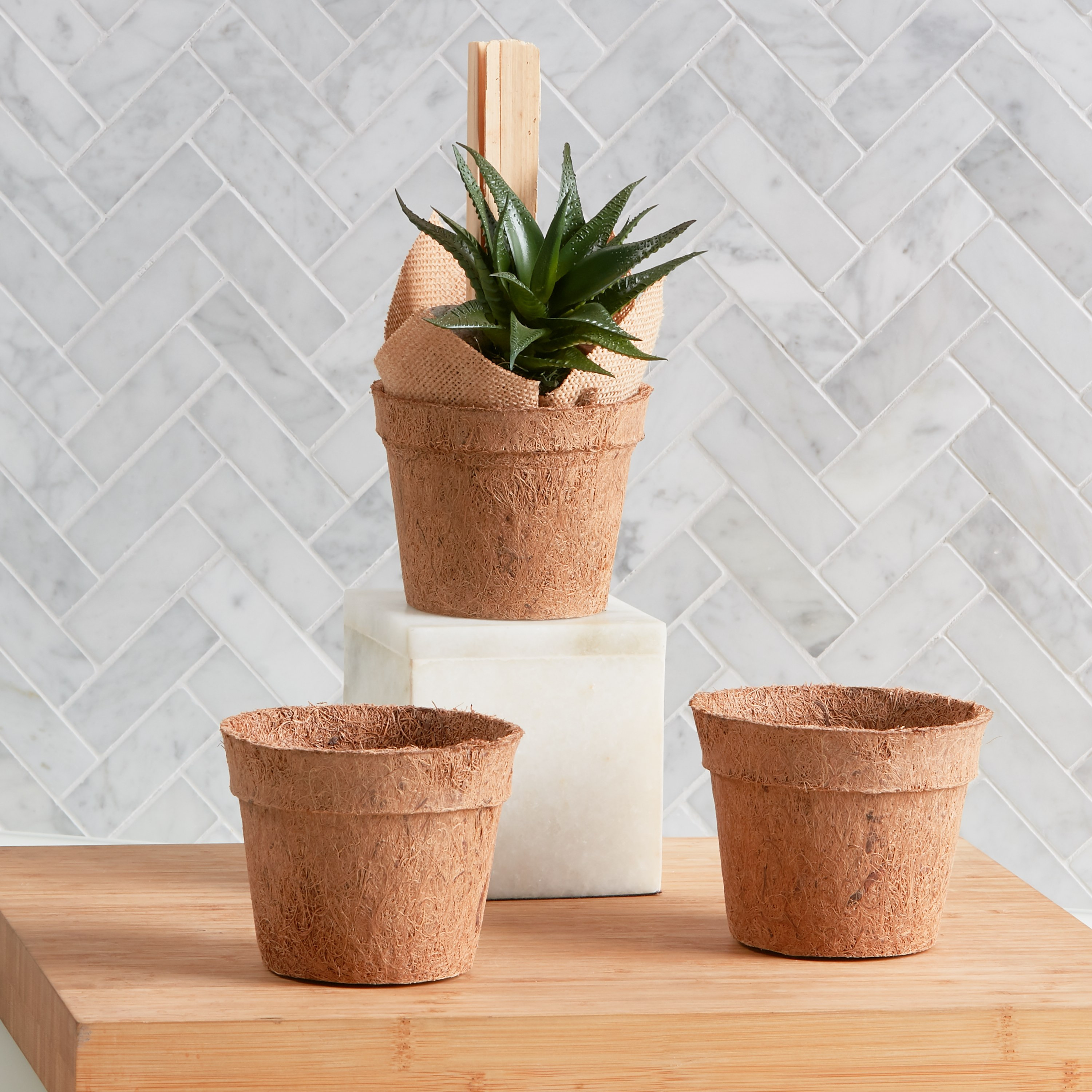 Garden deals pots online